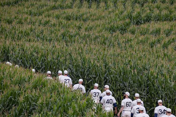 white-sox-corn
